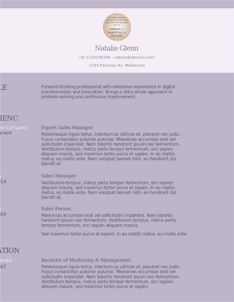 The Working Woman CV preview